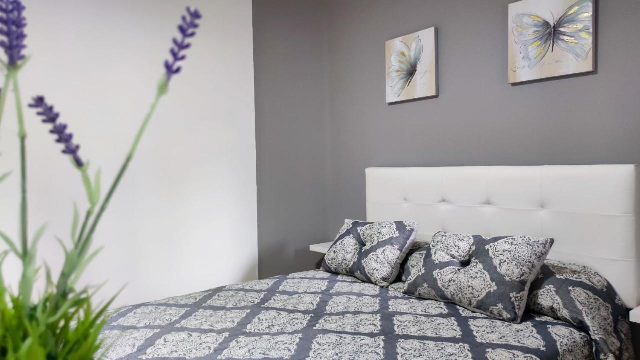 Apartamento Os Reloxos II Mondariz-Balneario Exterior foto